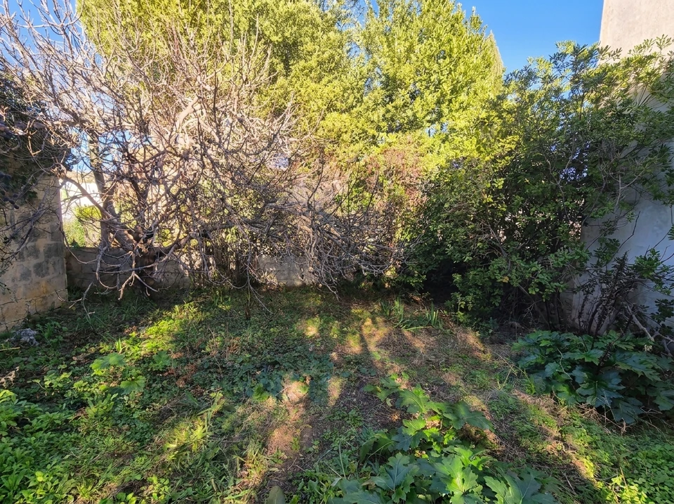 Terrain en friche clôturé, végétation dense et envahissante